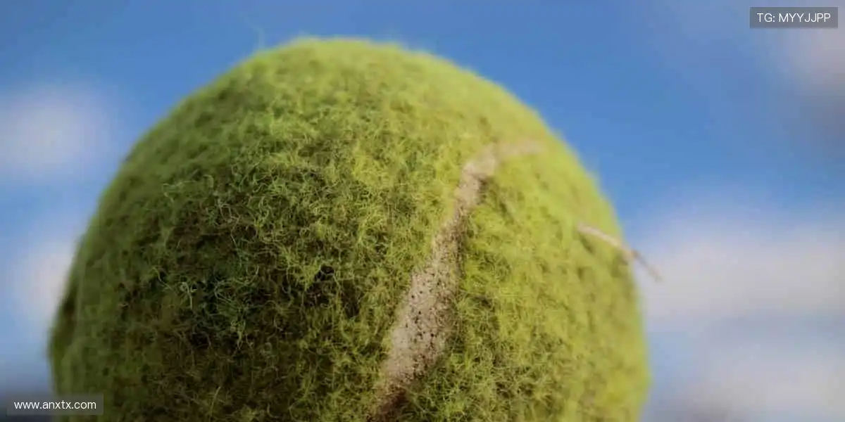 🏆 收藏热爱,把冠军荣耀穿在身上!🎁